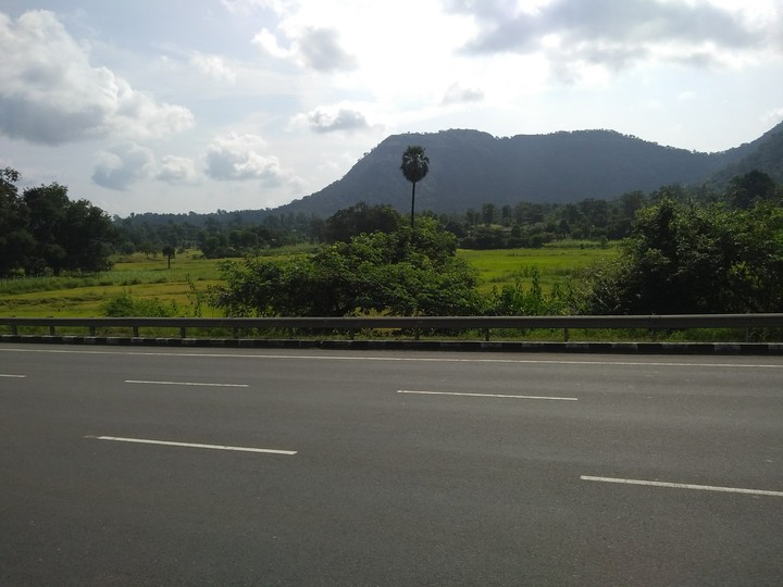 Forset view