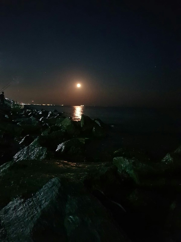 moon light