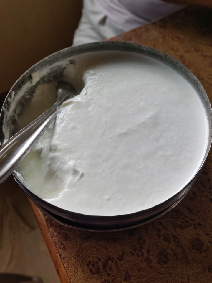 yummy and creamy dahi