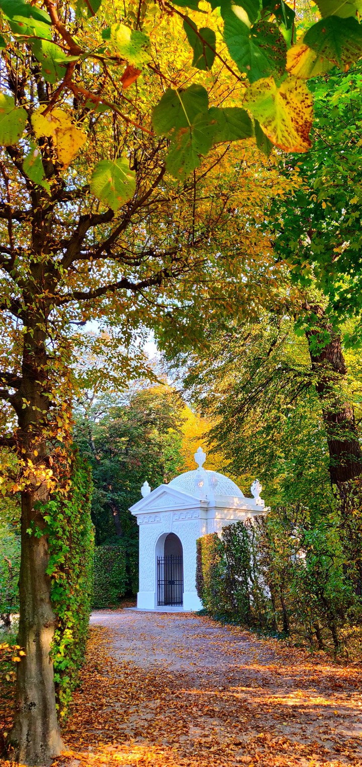 Schönbrunn garden
