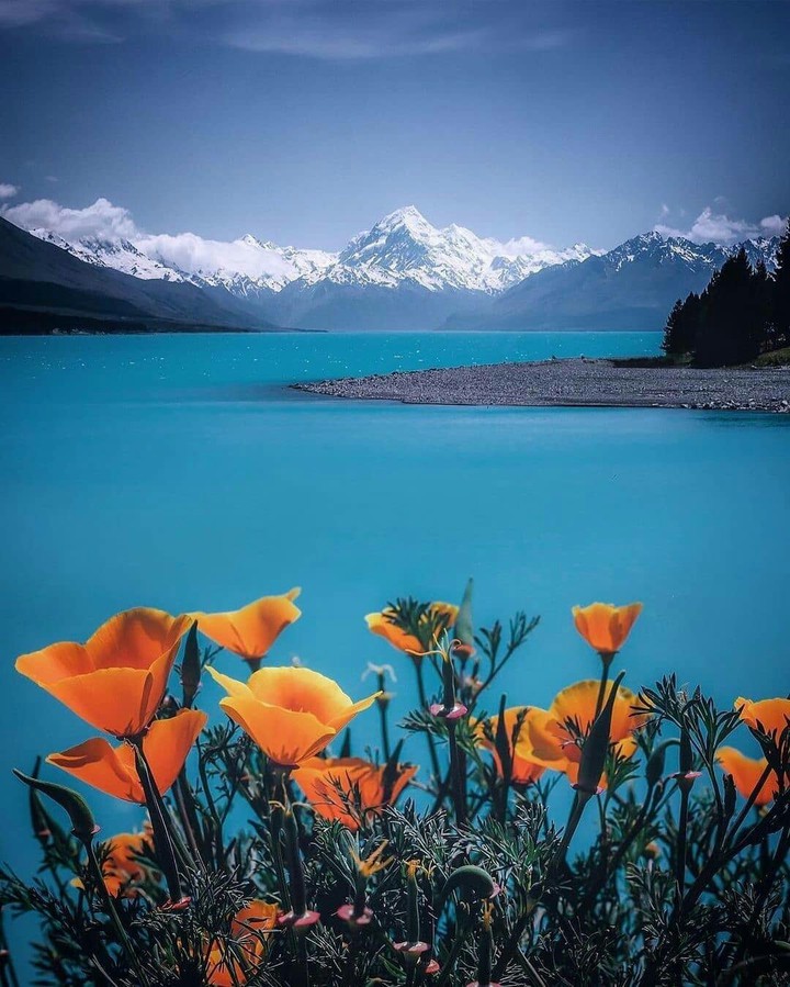 ❤️ Let's Have Beautiful Happy Sunday ❤️