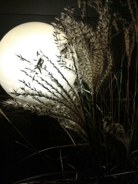 evening