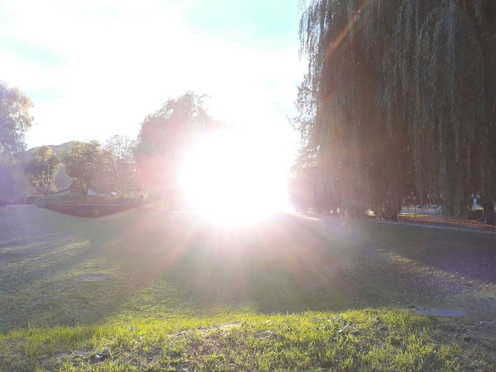 sunshine