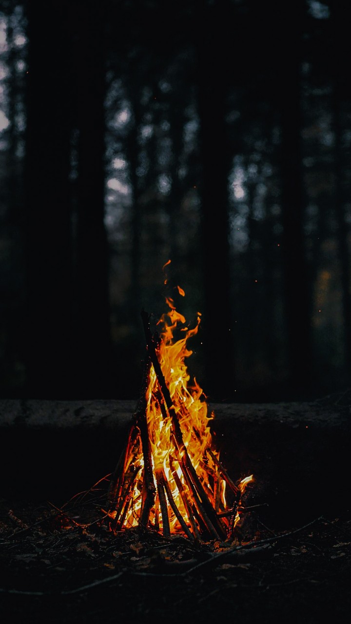 Camp Fire