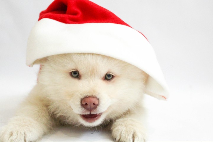 ☺️.....so cute...