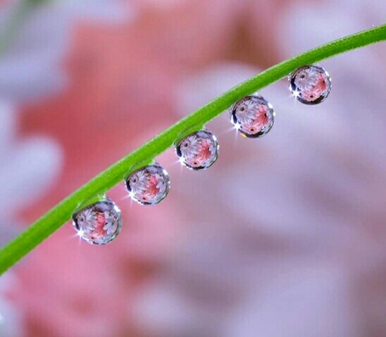 beautiful