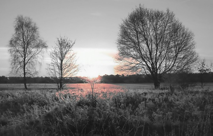 editing