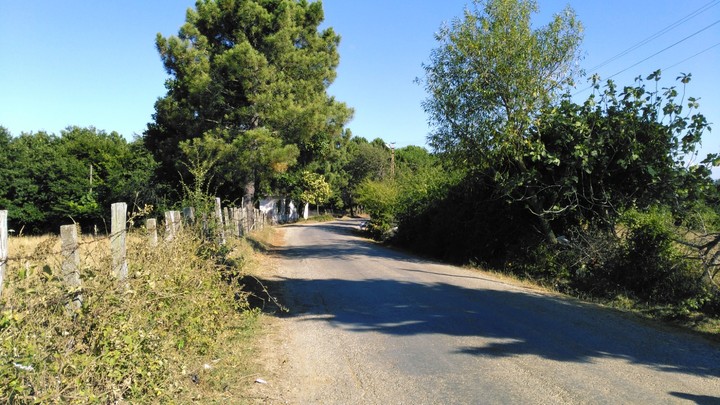 Narrow Drive Way