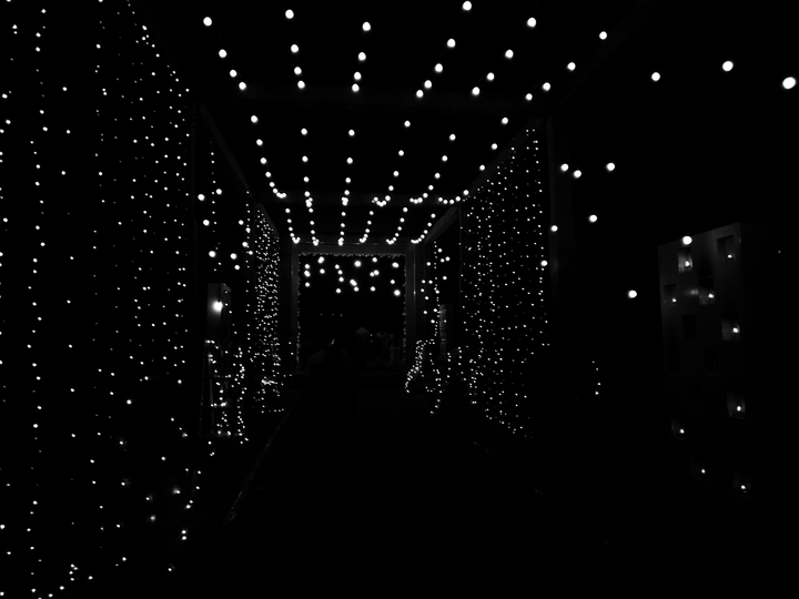 shotononeplus