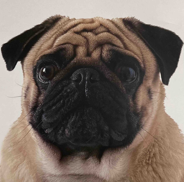 .