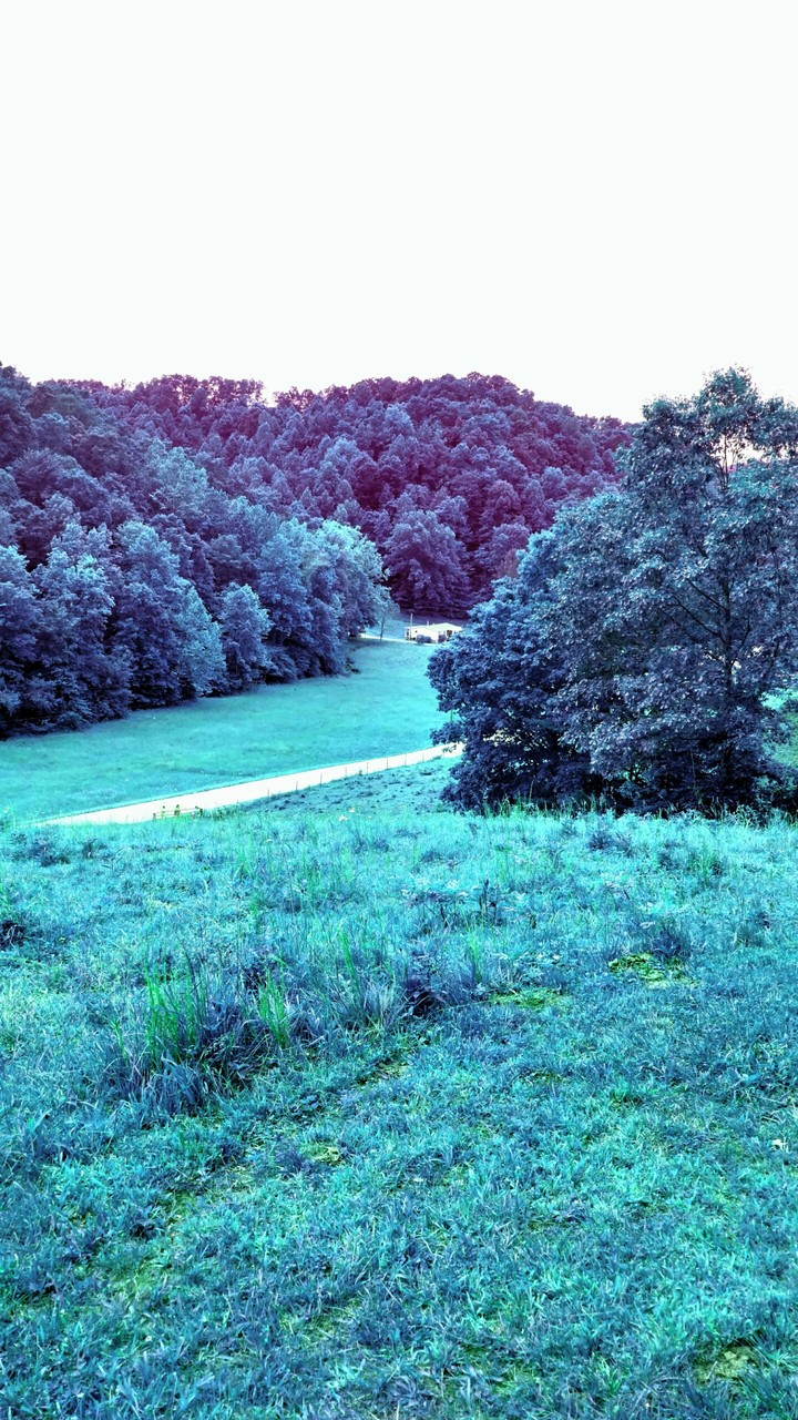 Blue Nature