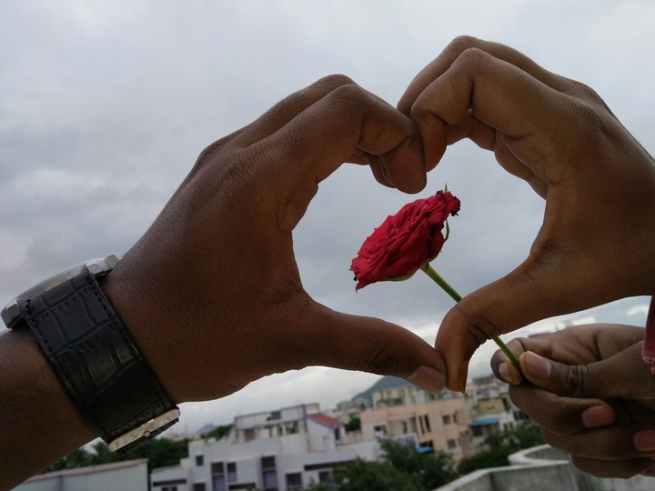 love