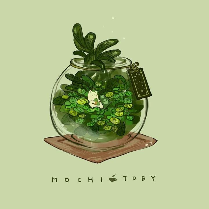 cute wallpapers / green || милые обои / зелёный