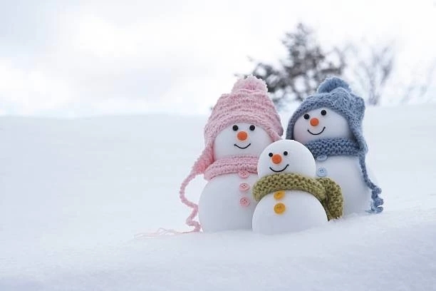 cute snowman family