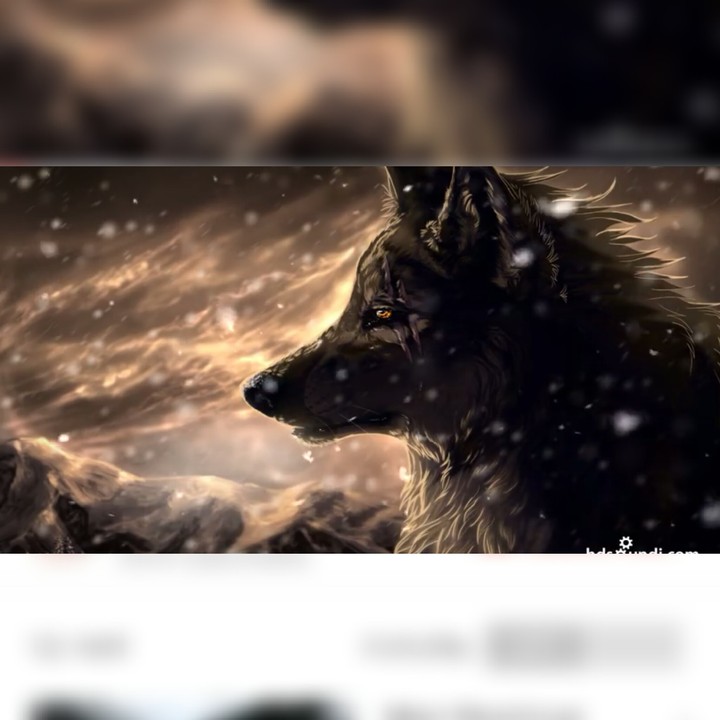 winter wolf