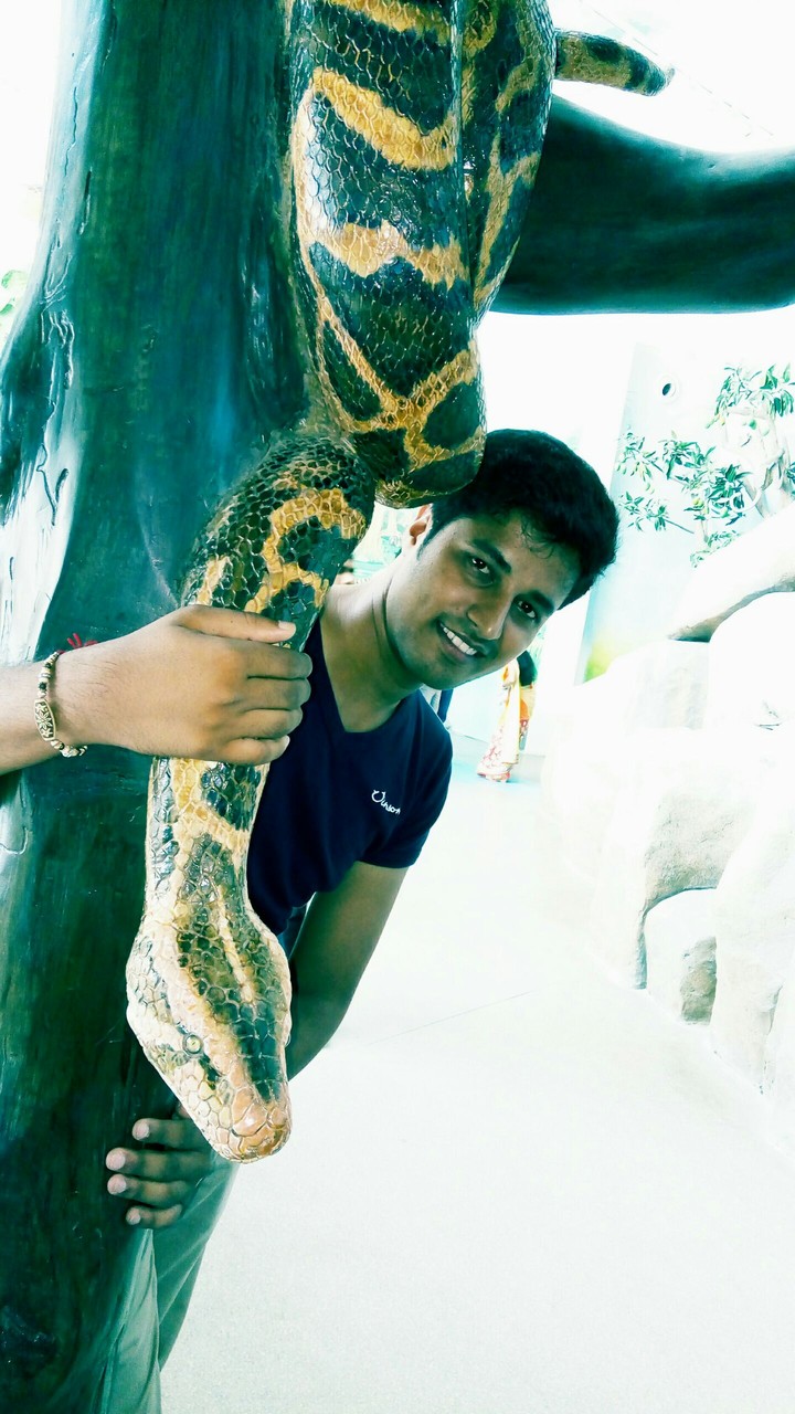 Jungle Safari...