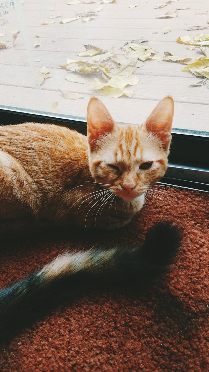 *wink*