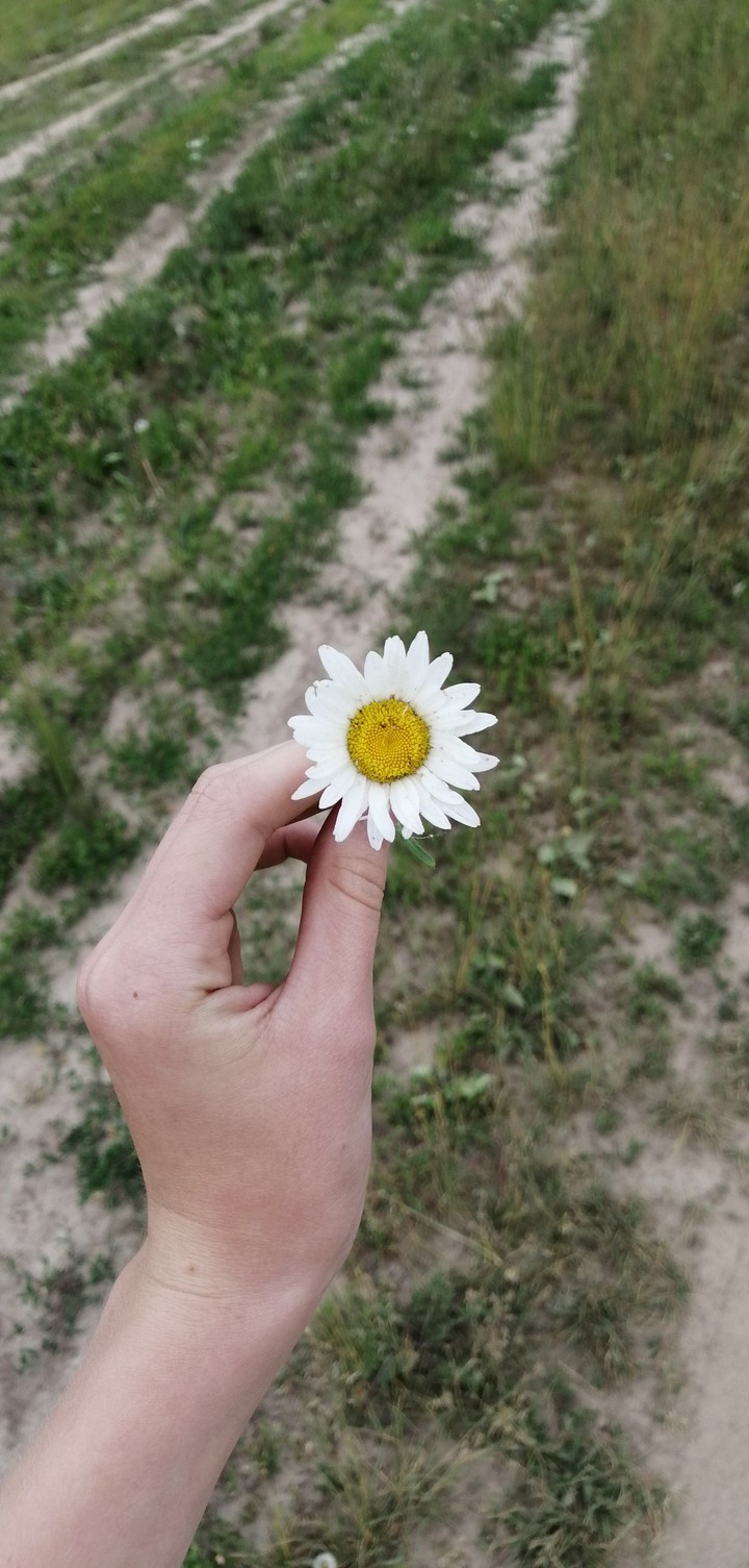 ?