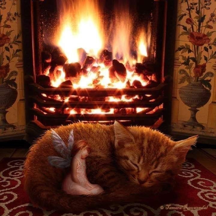 sleep