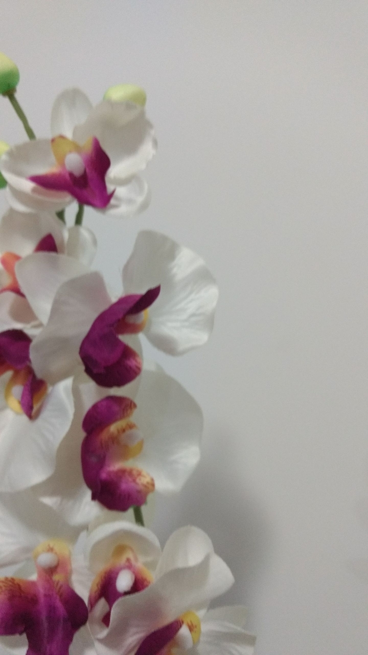 flor