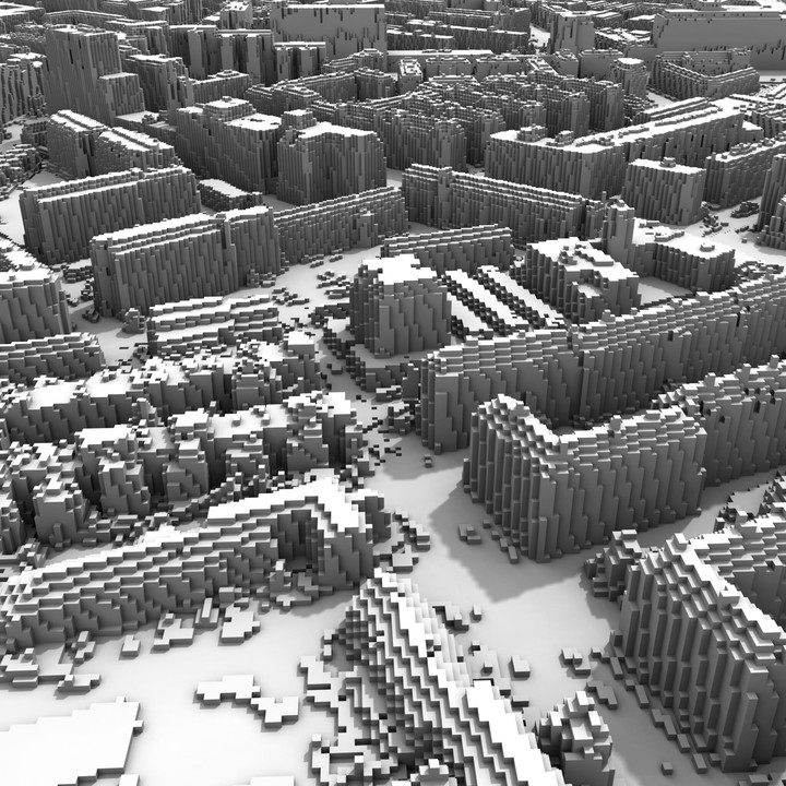 City voxel