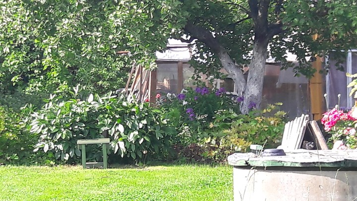 Beautiful garden