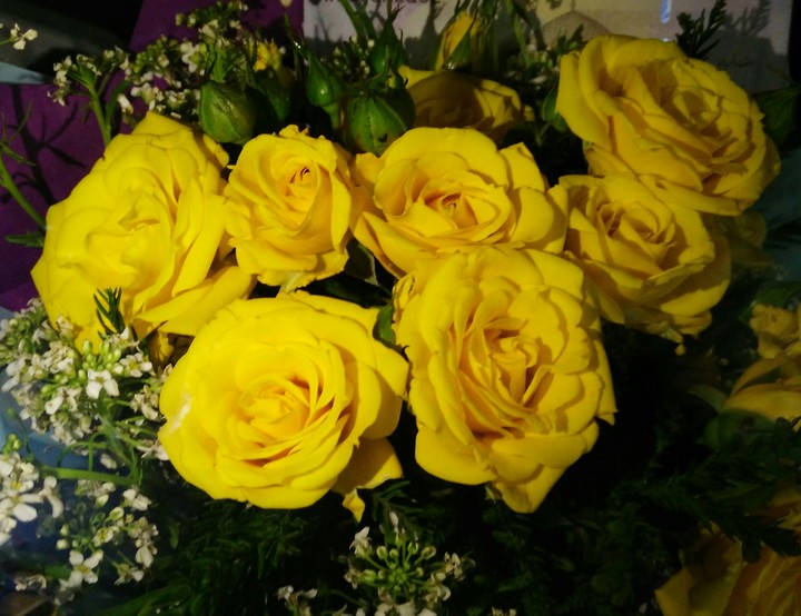 yellow rose