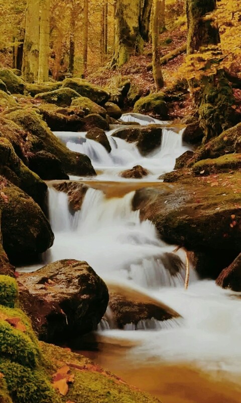 cascada