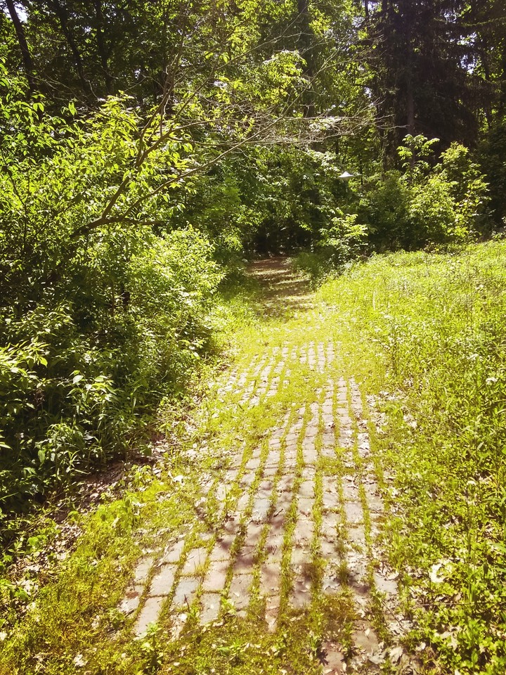 Behind A Hidden Road