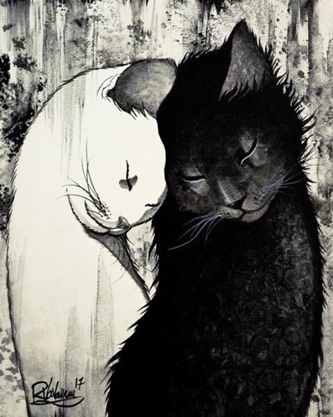 Feline love