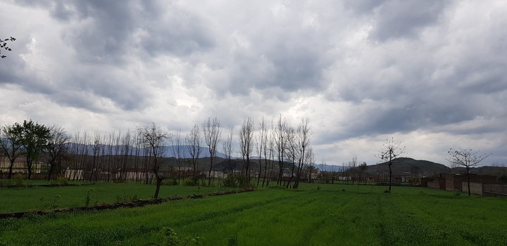 Rural