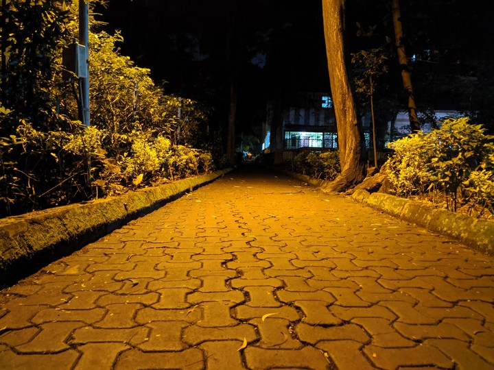 Lonely Passway