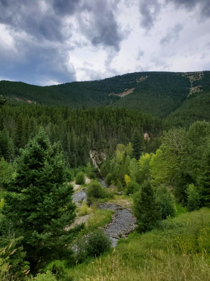 Montana