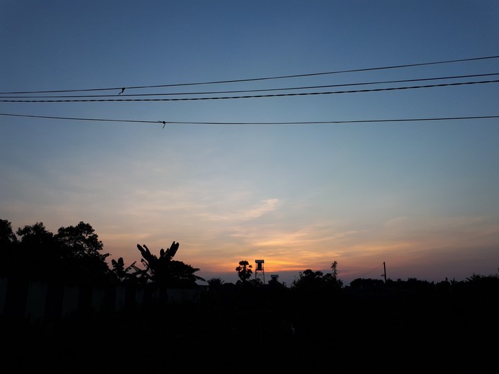 evening