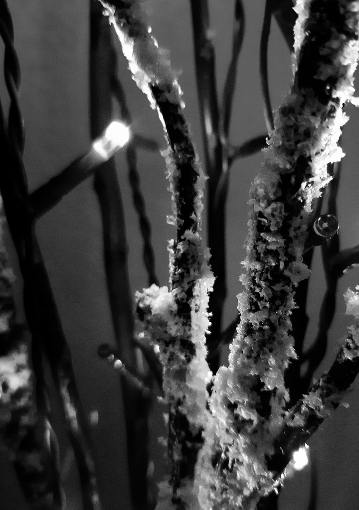 sticks