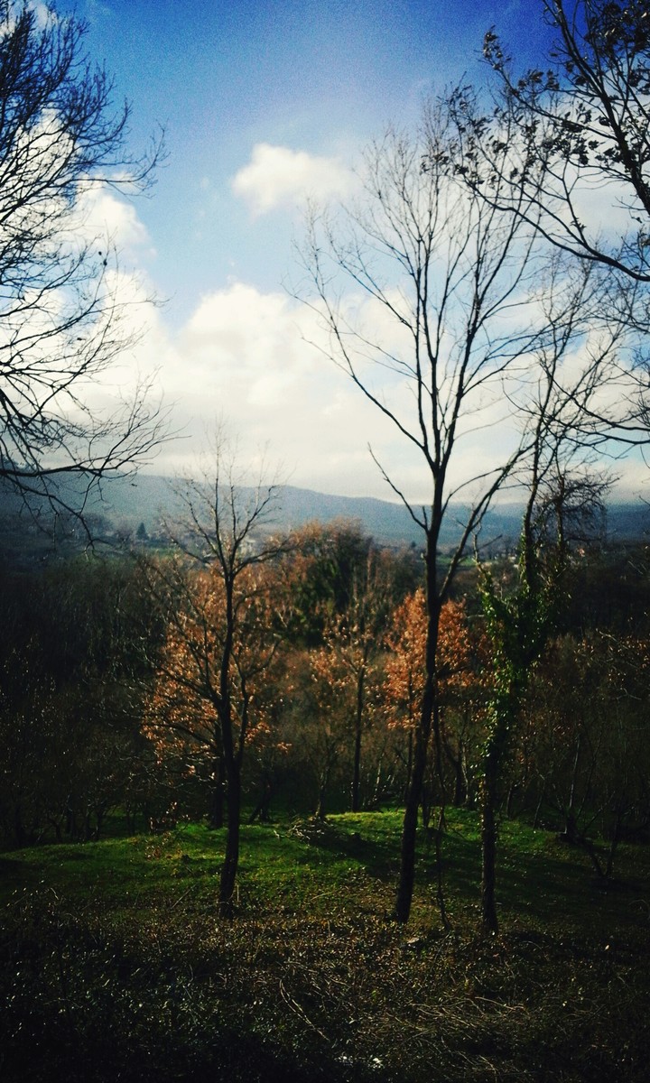 nature