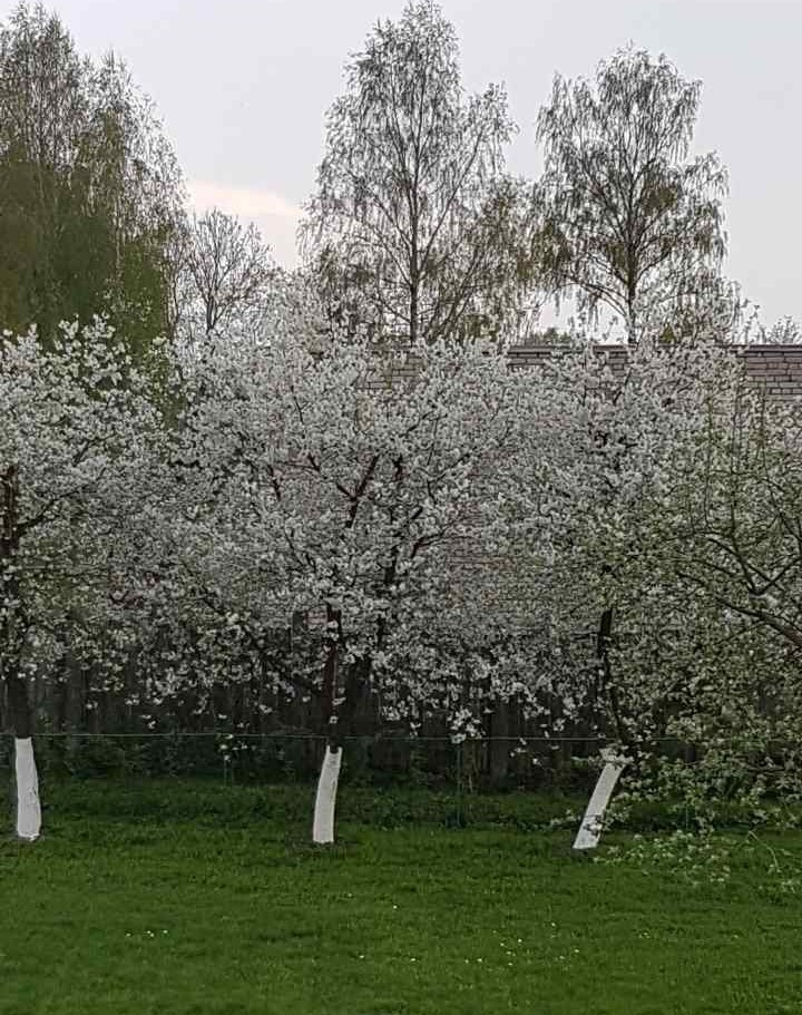 ВЕСНА!!!