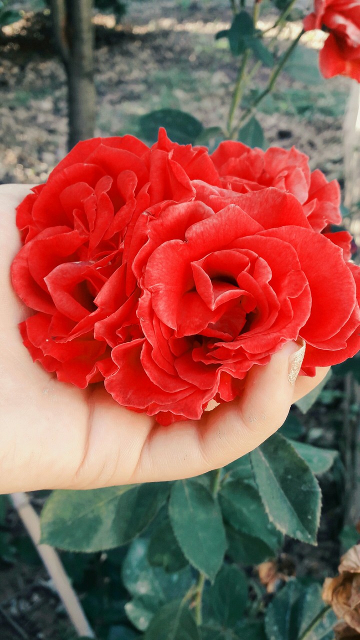 ❤❤??