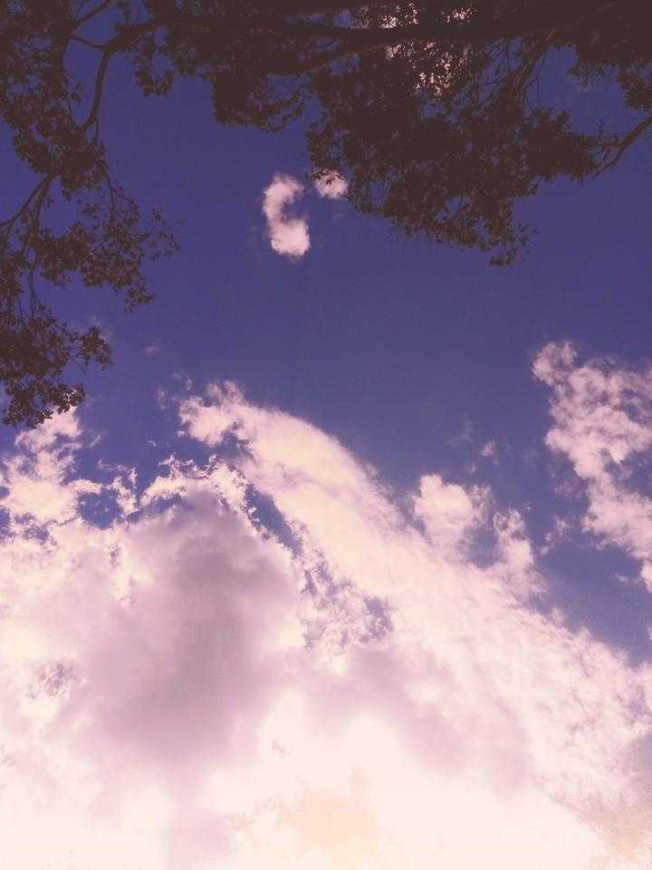 Purple Sky