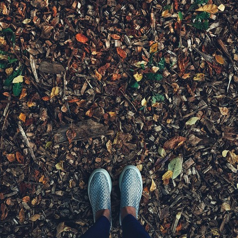 #autum