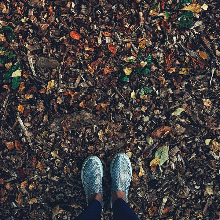 #autum