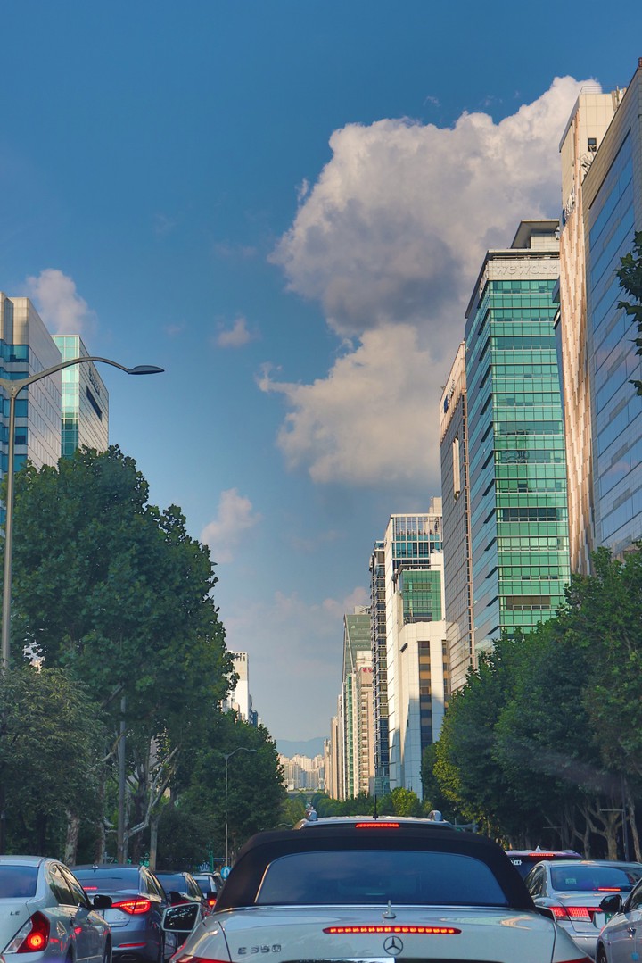 강남