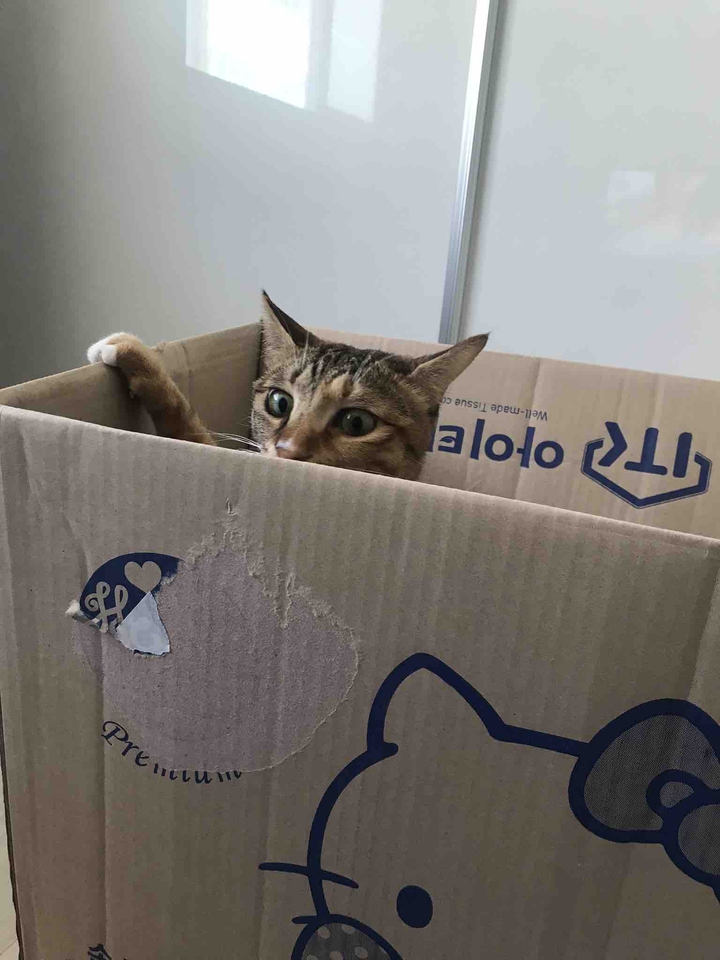 ???
