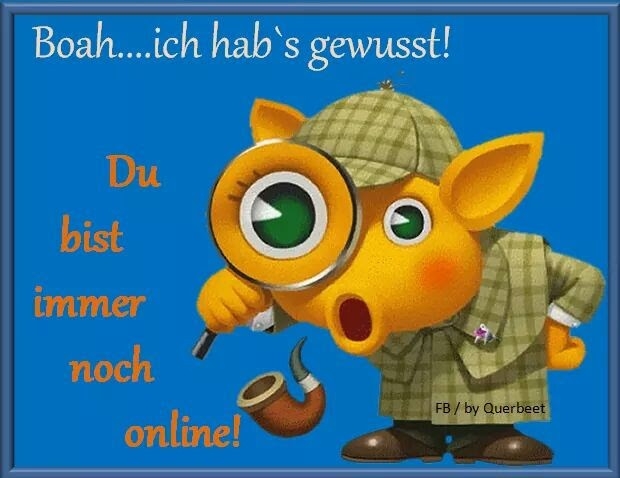 lustiger Spruch