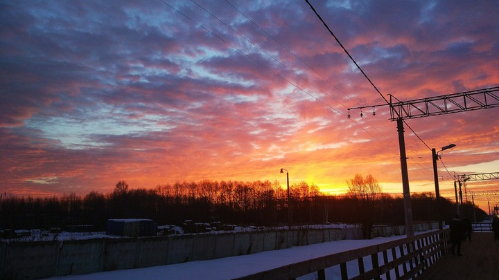 Morning