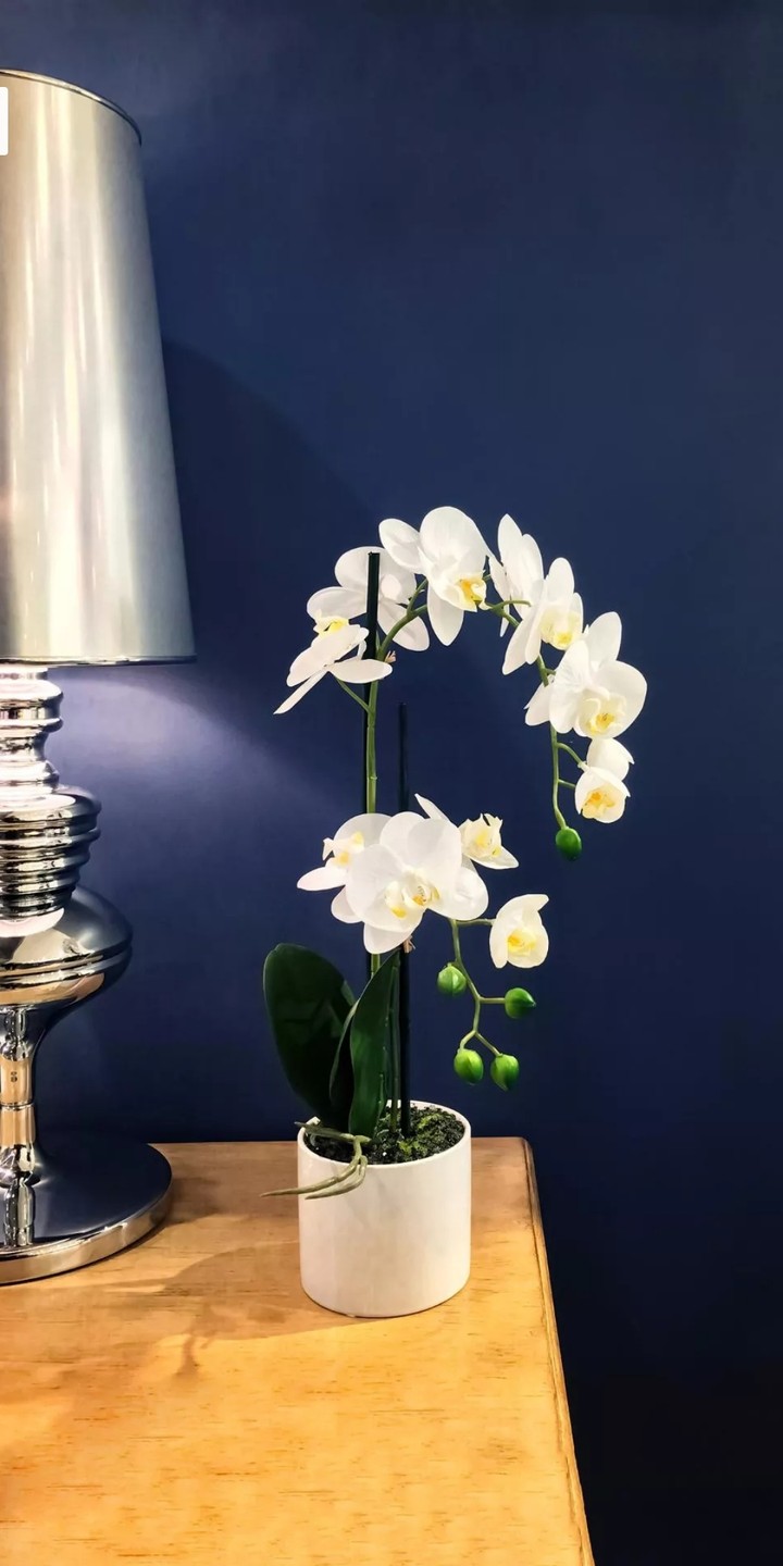 The Flower
