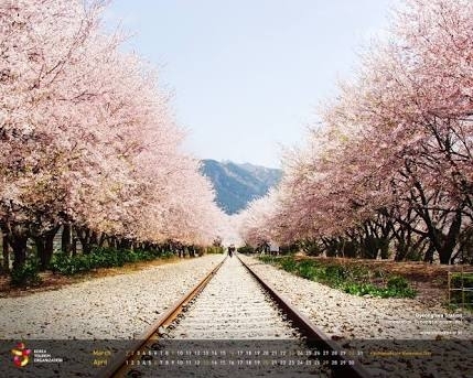 hehe it is in Korea and i live in korea to wow so beautiful