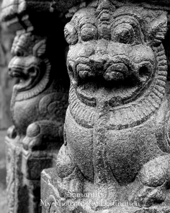 lord narashima