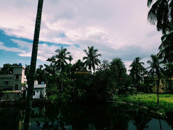 Nature
