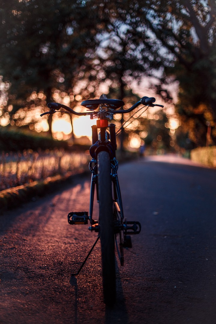 Bicycle Glare Sunset